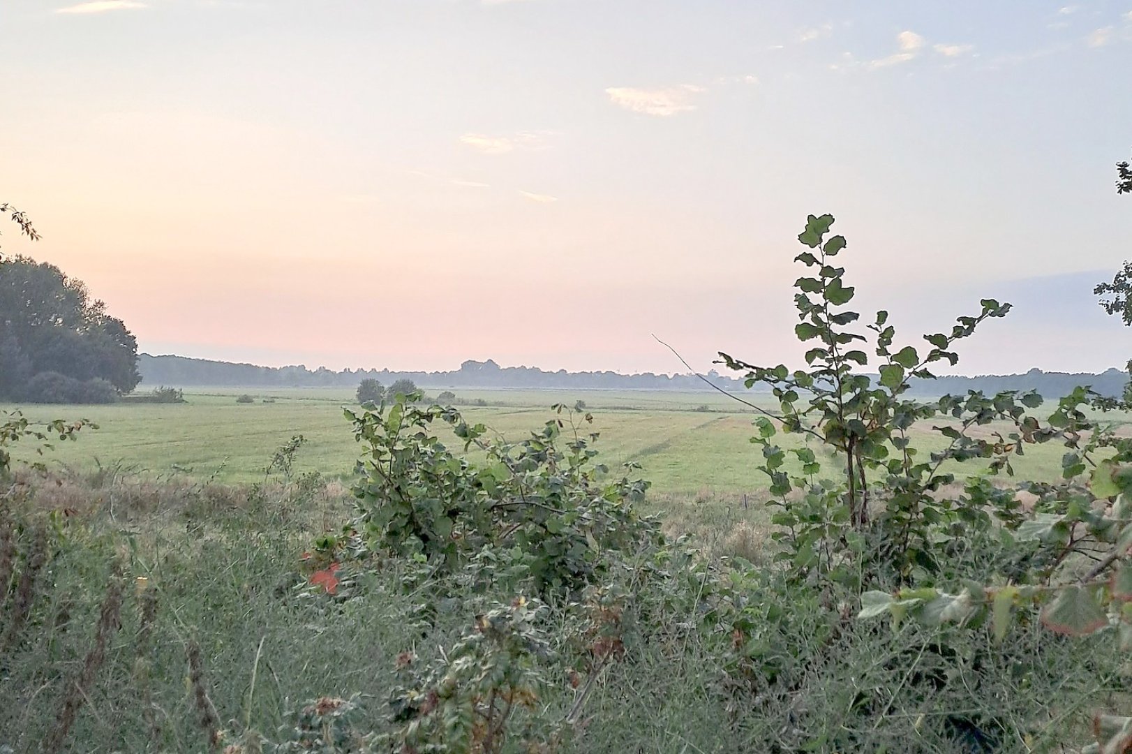 Die schönsten Pflanzenfotos aus Ostfriesland - Bild 66