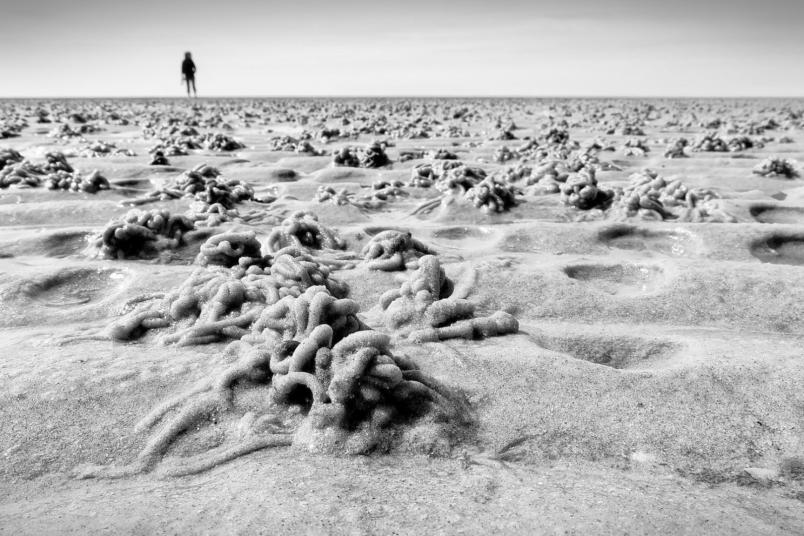 Die schönsten Landschaftsfotos aus Ostfriesland - Bild 13