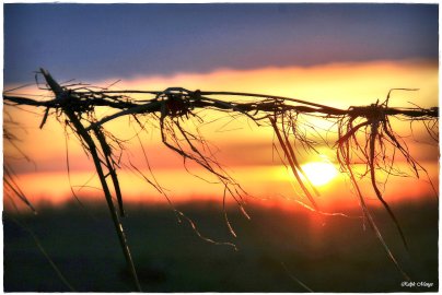 Die schönsten Landschaftsfotos aus Ostfriesland - Bild 14