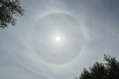 Die schönsten Landschaftsfotos aus Ostfriesland - Bild 15