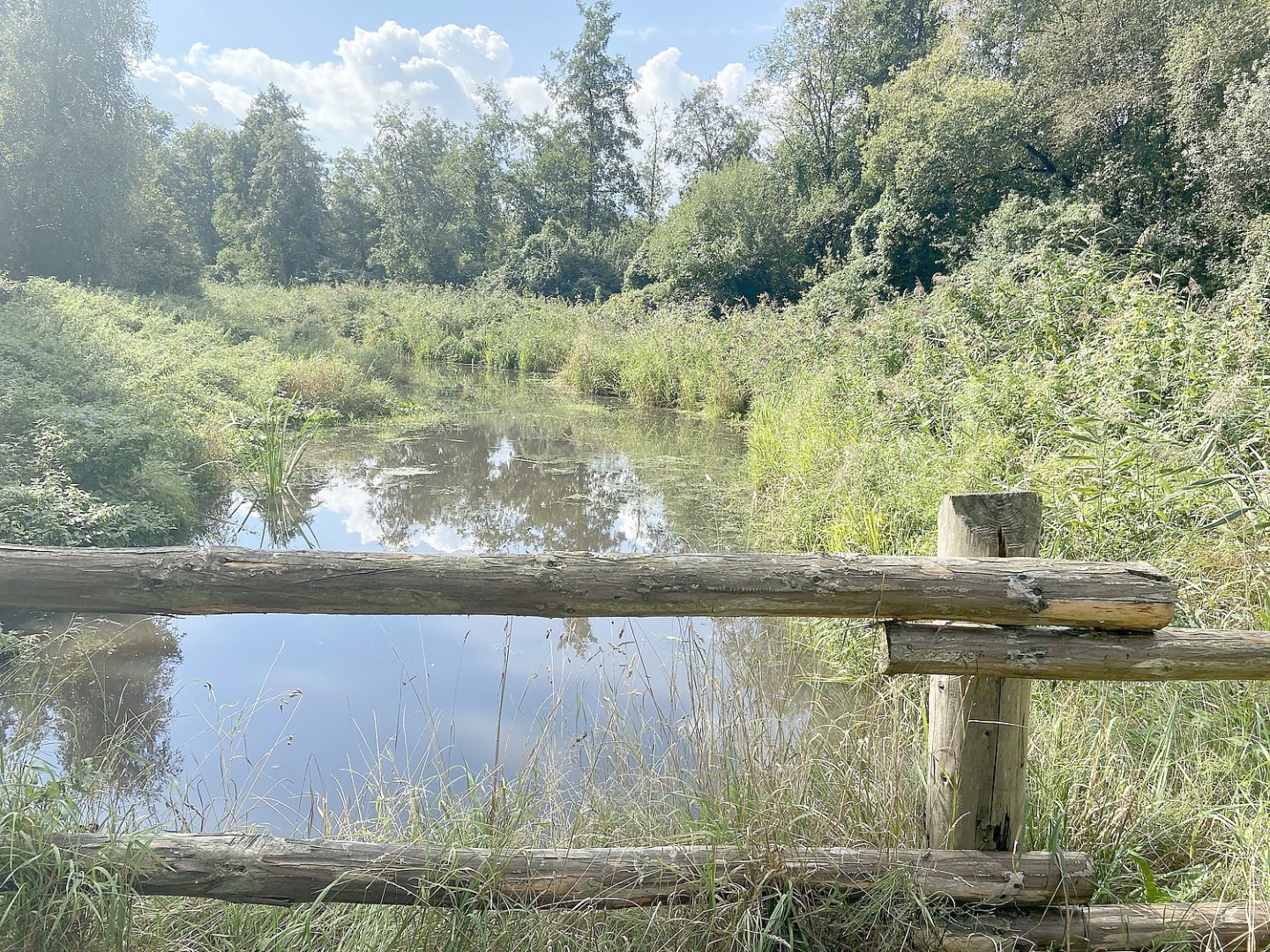 Die schönsten Landschaftsfotos aus Ostfriesland - Bild 18