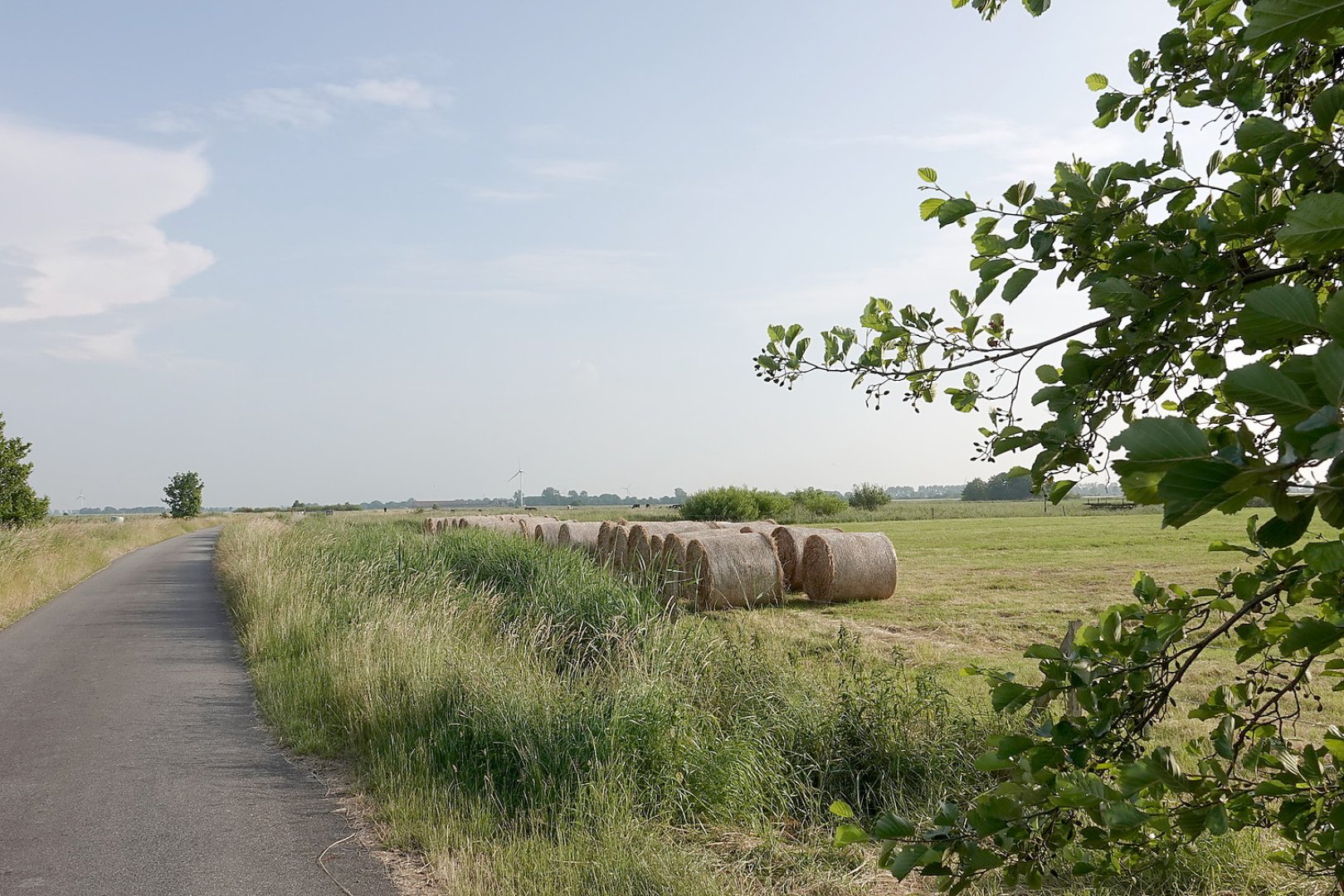 Die schönsten Landschaftsfotos aus Ostfriesland - Bild 19