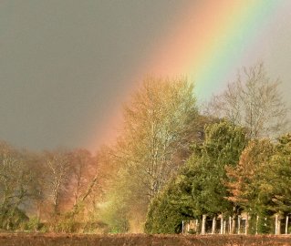 Die schönsten Landschaftsfotos aus Ostfriesland - Bild 20