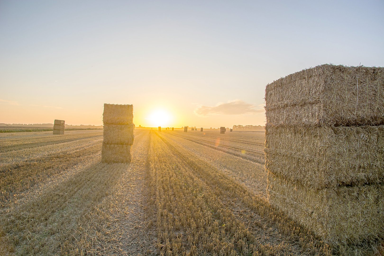 Die schönsten Landschaftsfotos aus Ostfriesland - Bild 23