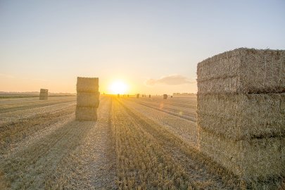 Die schönsten Landschaftsfotos aus Ostfriesland - Bild 23