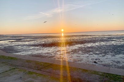 Die schönsten Landschaftsfotos aus Ostfriesland - Bild 29