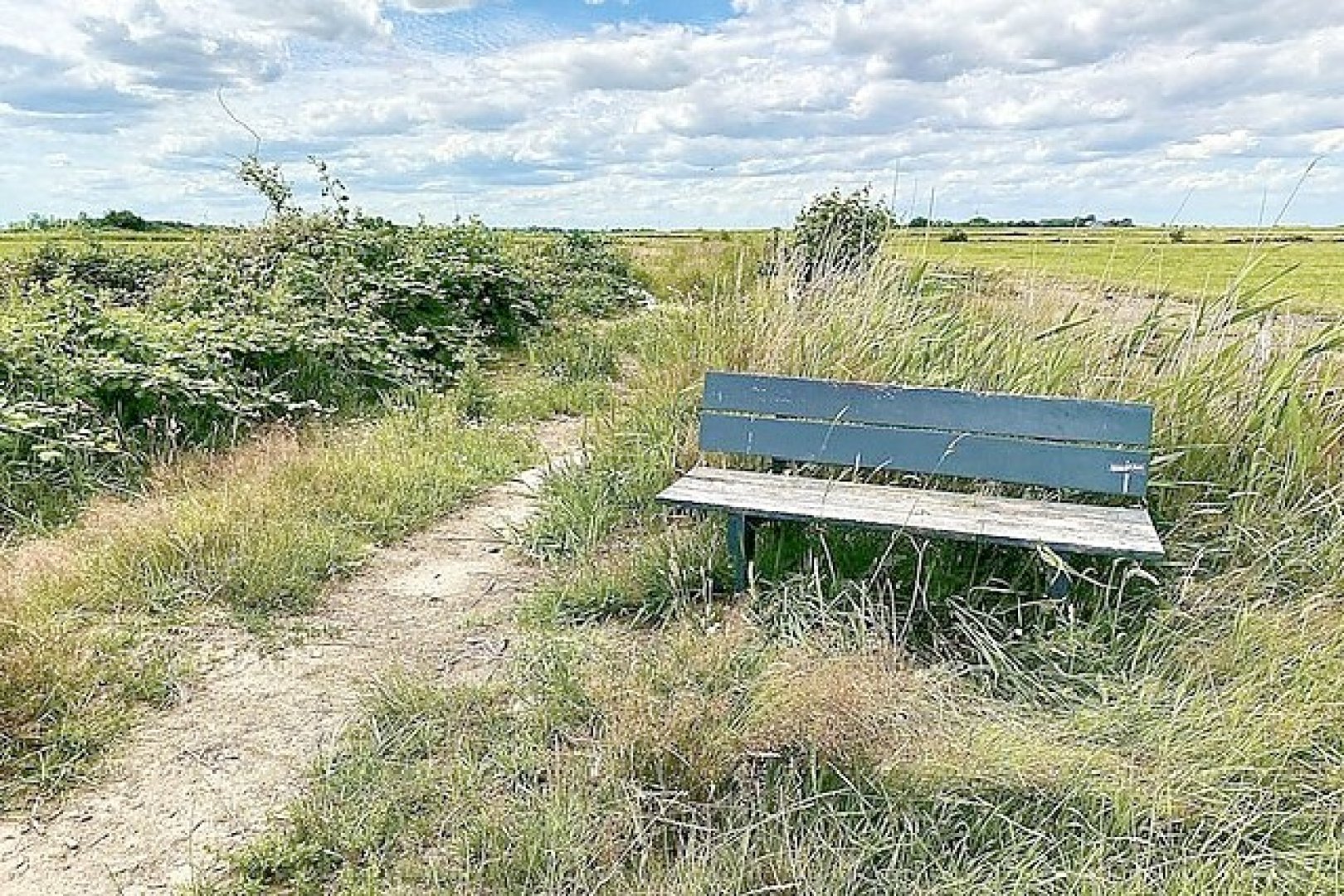 Die schönsten Landschaftsfotos aus Ostfriesland - Bild 31