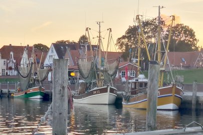Die schönsten Landschaftsfotos aus Ostfriesland - Bild 43