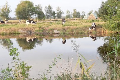 Die schönsten Landschaftsfotos aus Ostfriesland - Bild 48
