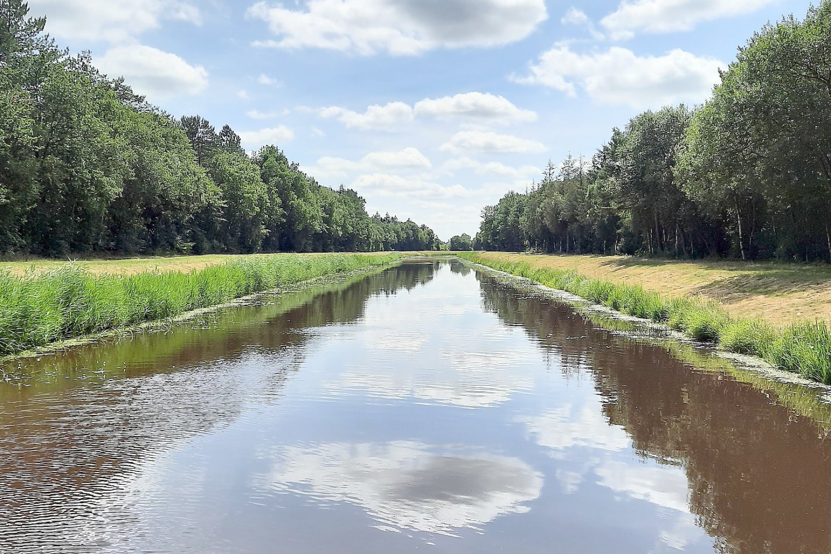 Die schönsten Landschaftsfotos aus Ostfriesland - Bild 49