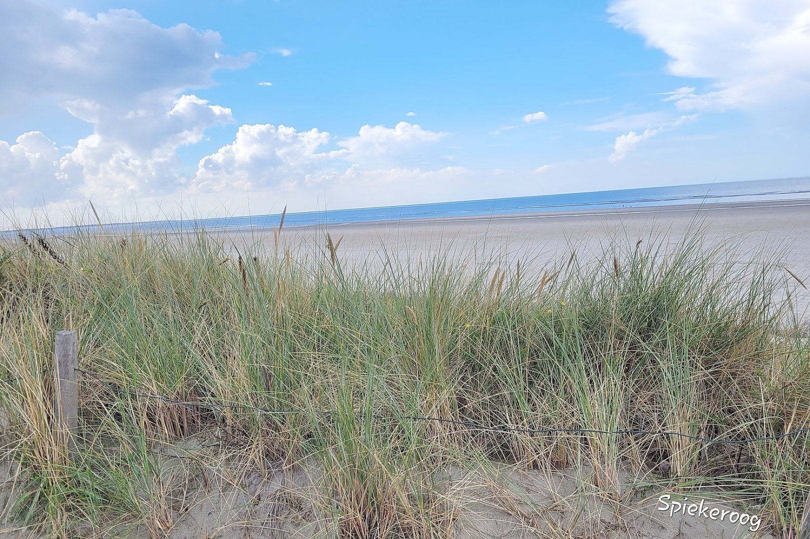 Die schönsten Landschaftsfotos aus Ostfriesland - Bild 57