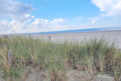Die schönsten Landschaftsfotos aus Ostfriesland - Bild 57