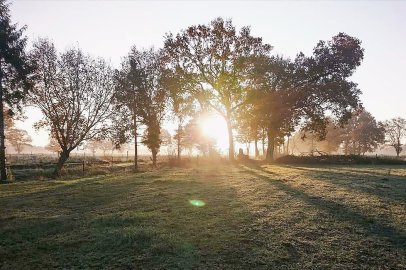 Die schönsten Landschaftsfotos aus Ostfriesland - Bild 60