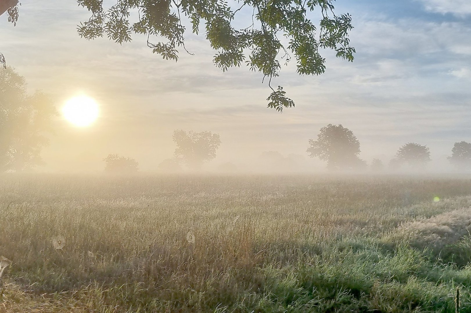 Die schönsten Landschaftsfotos aus Ostfriesland - Bild 61
