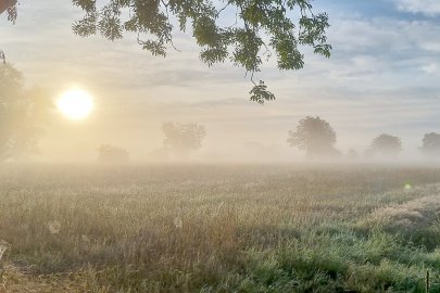 Die schönsten Landschaftsfotos aus Ostfriesland - Bild 61