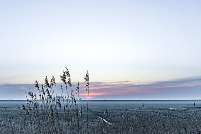 Die schönsten Landschaftsfotos aus Ostfriesland - Bild 62