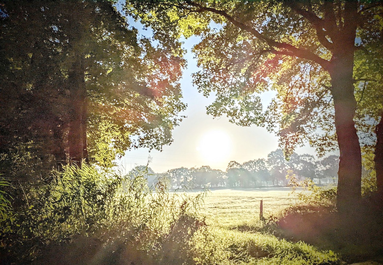 Die schönsten Landschaftsfotos aus Ostfriesland - Bild 63