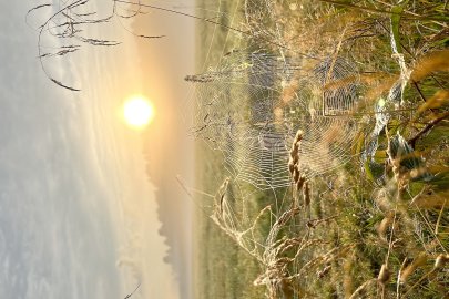 Die schönsten Landschaftsfotos aus Ostfriesland - Bild 64