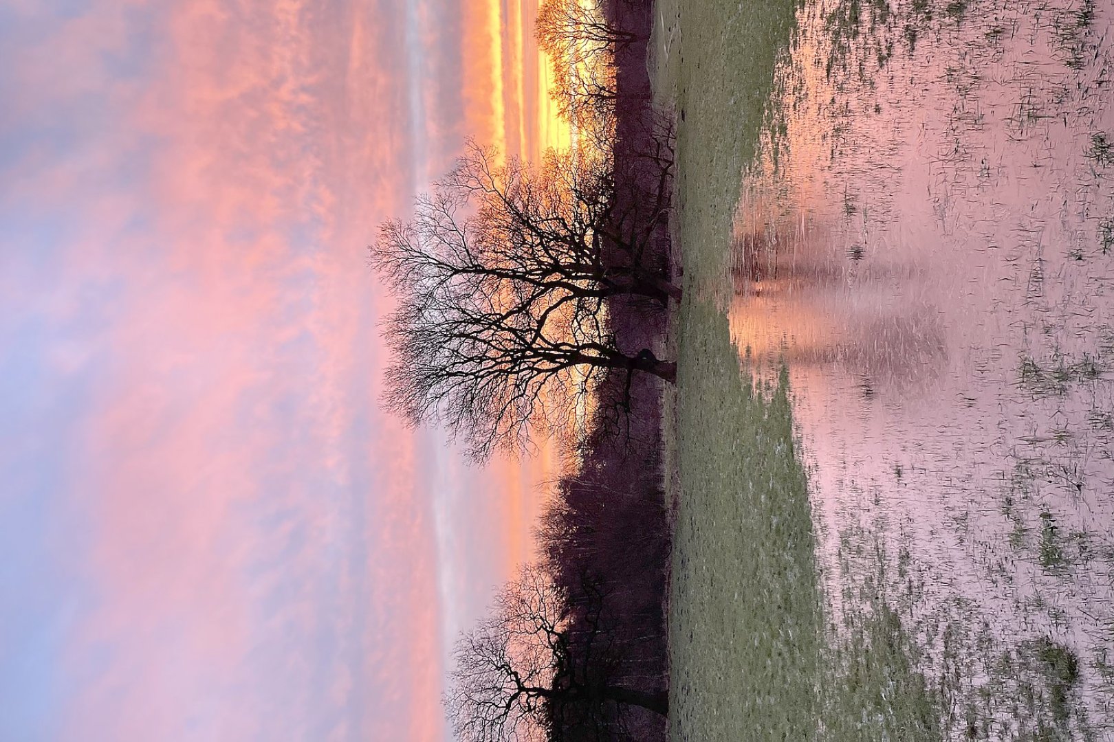 Die schönsten Landschaftsfotos aus Ostfriesland - Bild 69