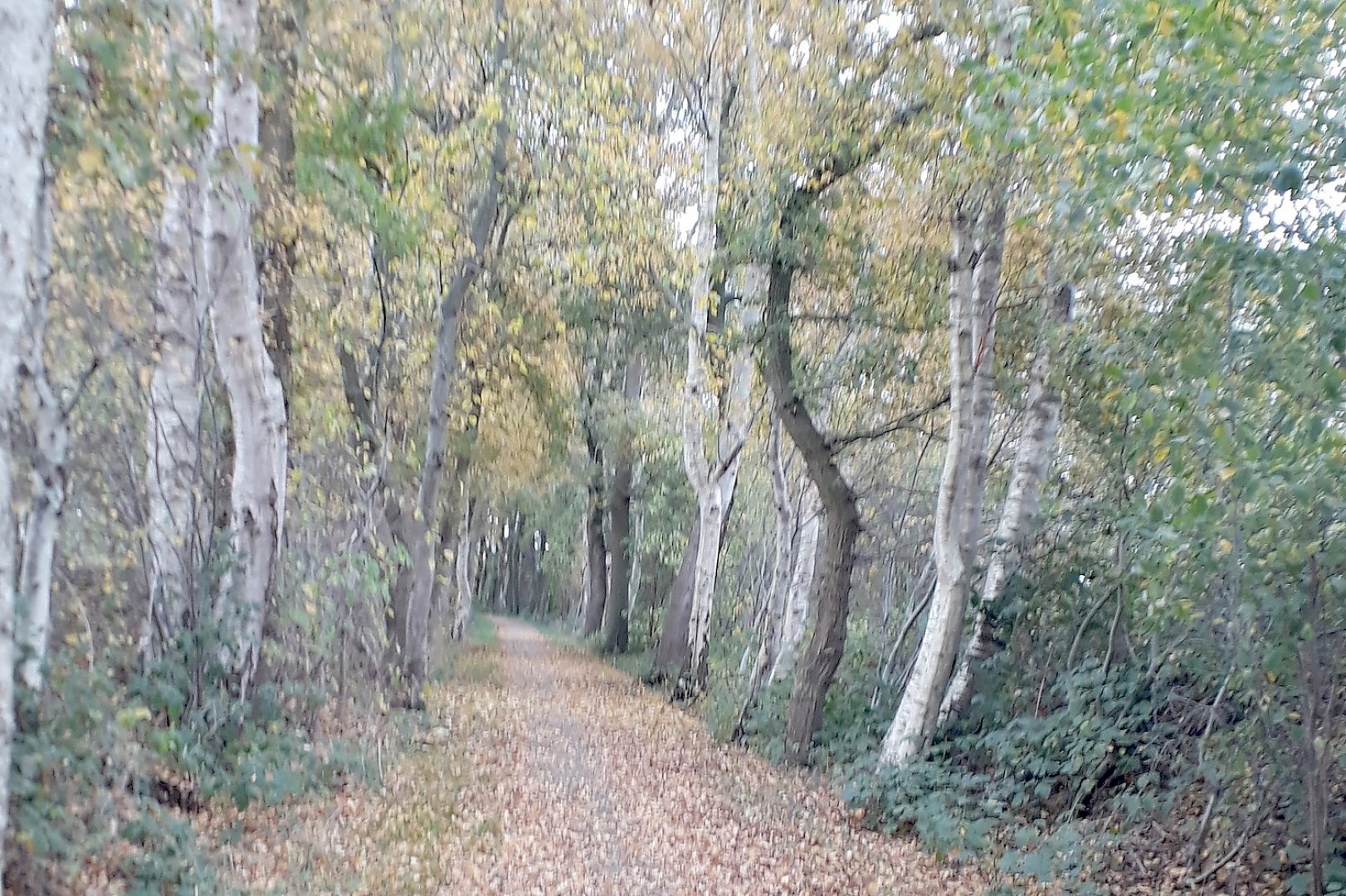 Die schönsten Landschaftsfotos aus Ostfriesland - Bild 72