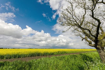 Die schönsten Landschaftsfotos aus Ostfriesland - Bild 74