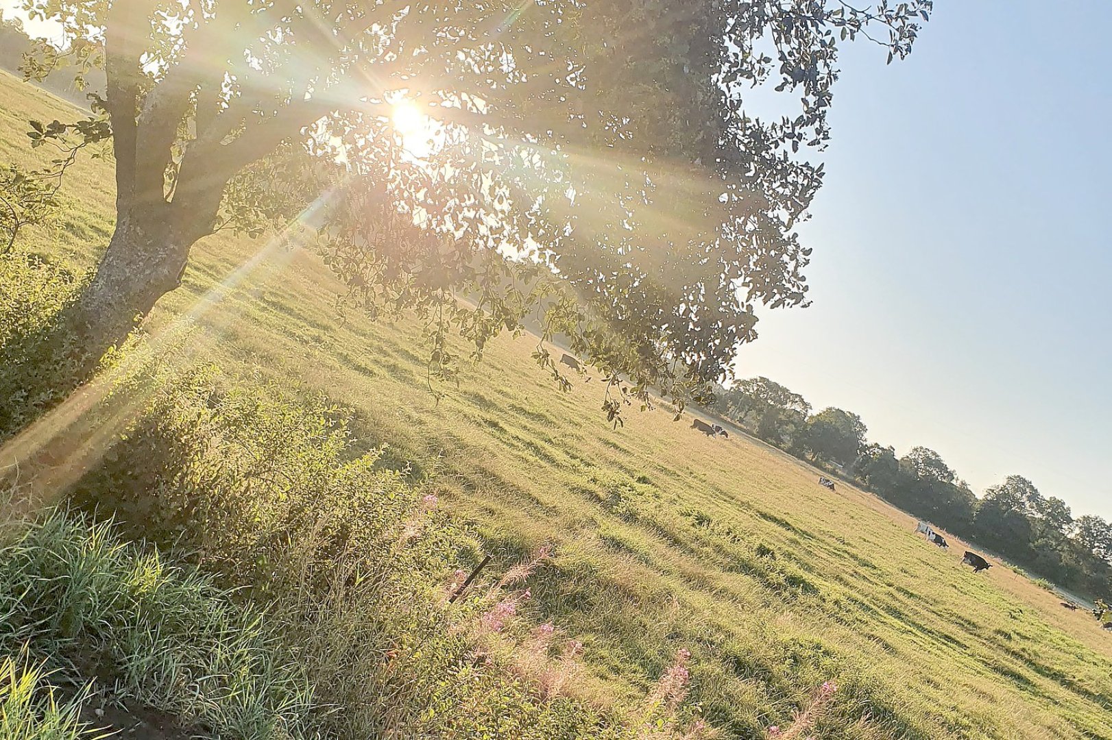 Die schönsten Landschaftsfotos aus Ostfriesland - Bild 78