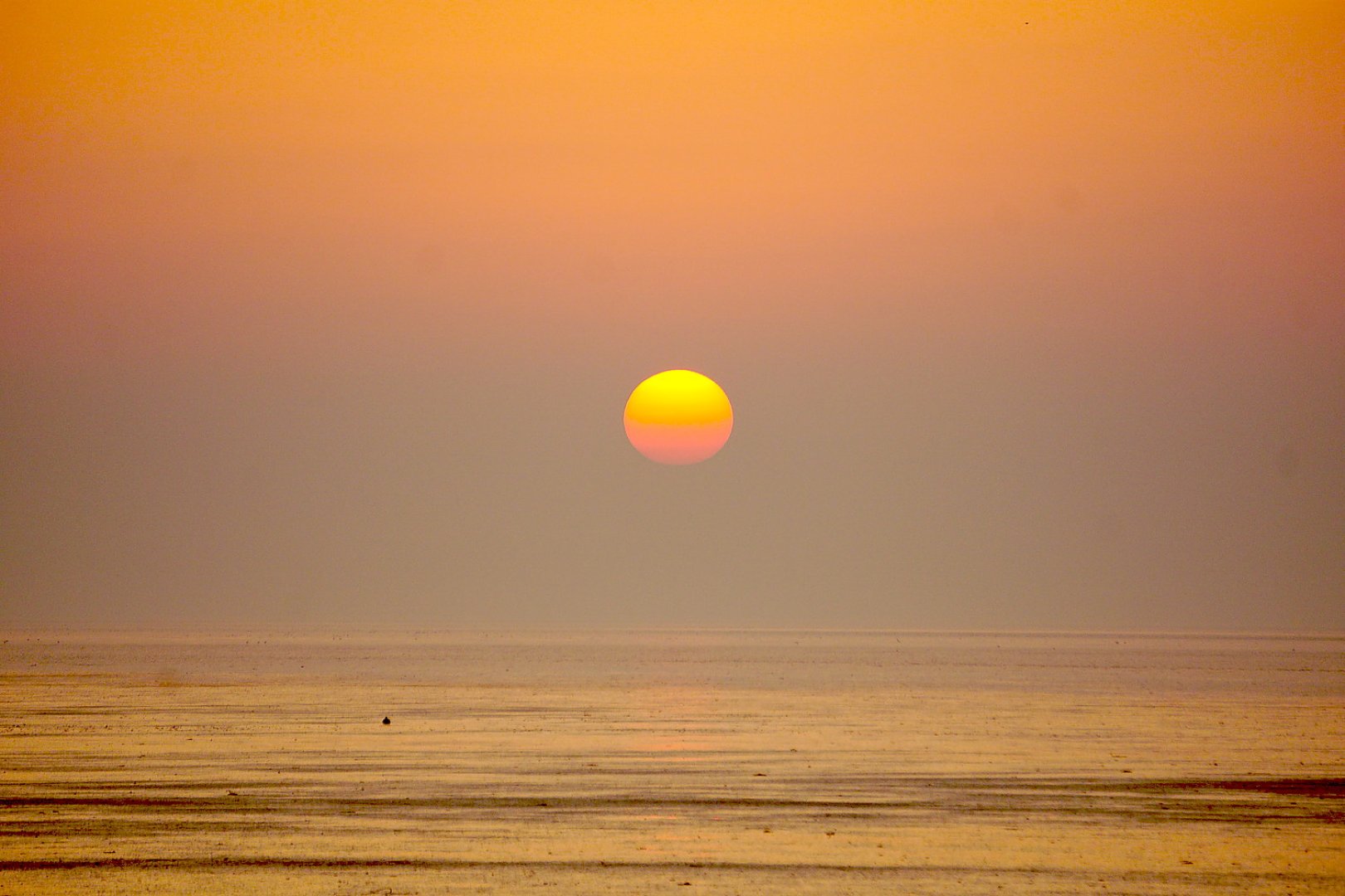 Die schönsten Landschaftsfotos aus Ostfriesland - Bild 80
