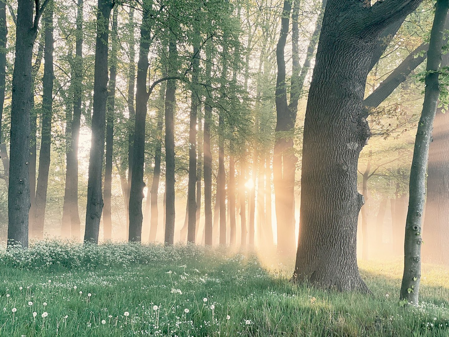 Die schönsten Landschaftsfotos aus Ostfriesland - Bild 81