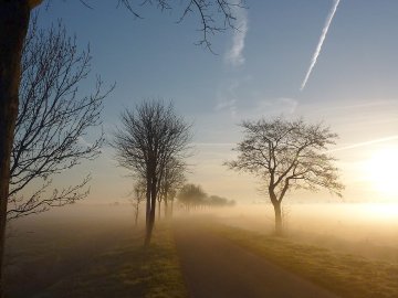 Die schönsten Landschaftsfotos aus Ostfriesland - Bild 89