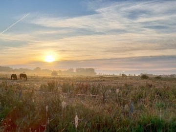 Die schönsten Landschaftsfotos aus Ostfriesland - Bild 91