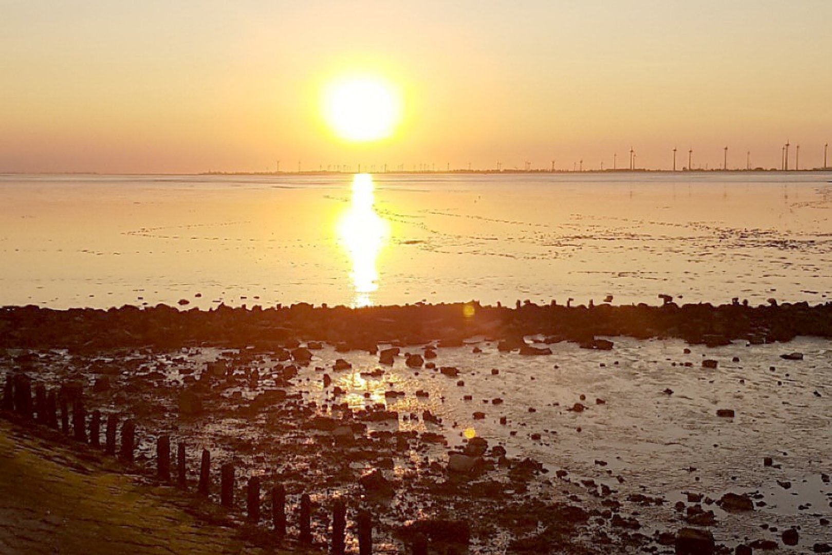 Die schönsten Landschaftsfotos aus Ostfriesland - Bild 94