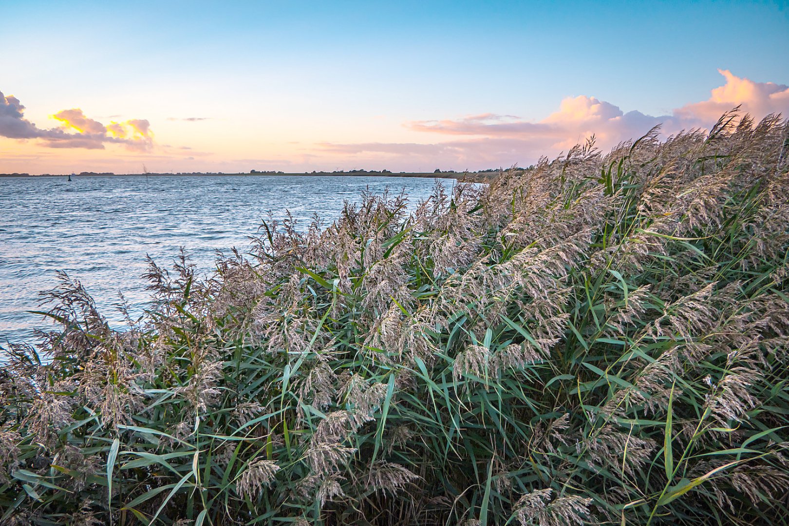Die schönsten Landschaftsfotos aus Ostfriesland - Bild 96