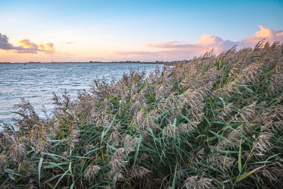 Die schönsten Landschaftsfotos aus Ostfriesland - Bild 96