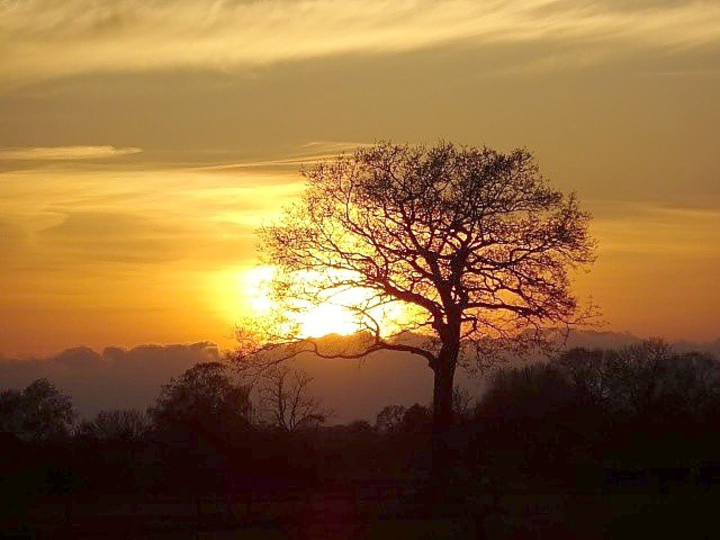 Die schönsten Landschaftsfotos aus Ostfriesland - Bild 99