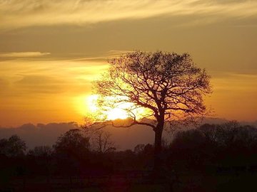 Die schönsten Landschaftsfotos aus Ostfriesland - Bild 99