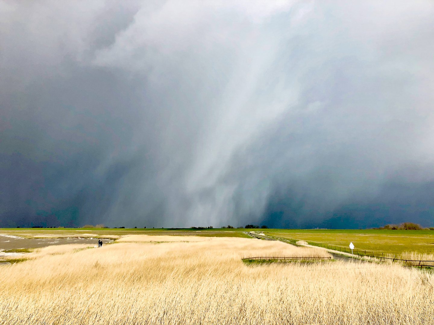 Die schönsten Landschaftsfotos aus Ostfriesland - Bild 105