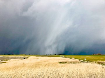 Die schönsten Landschaftsfotos aus Ostfriesland - Bild 105