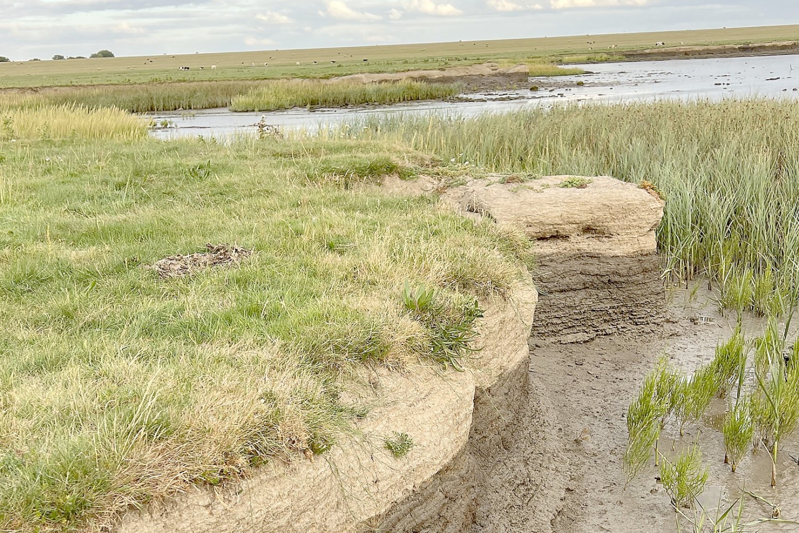 Die schönsten Landschaftsfotos aus Ostfriesland - Bild 109