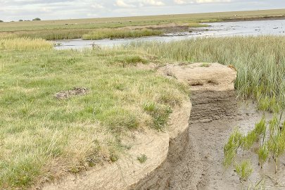 Die schönsten Landschaftsfotos aus Ostfriesland - Bild 109