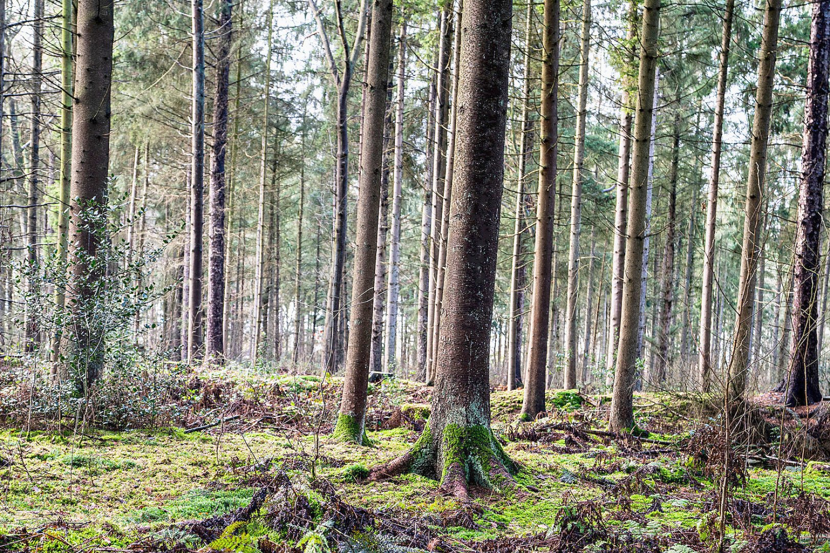 Die schönsten Landschaftsfotos aus Ostfriesland - Bild 112