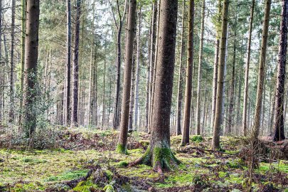Die schönsten Landschaftsfotos aus Ostfriesland - Bild 112