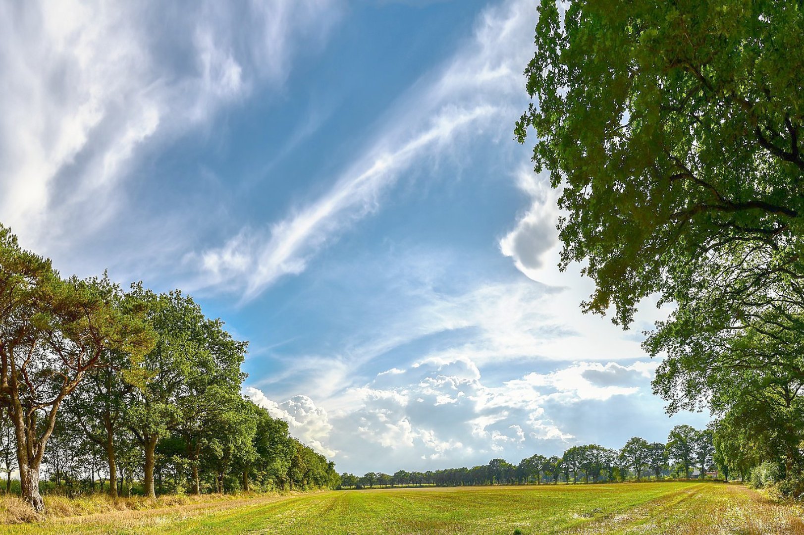 Die schönsten Landschaftsfotos aus Ostfriesland - Bild 113