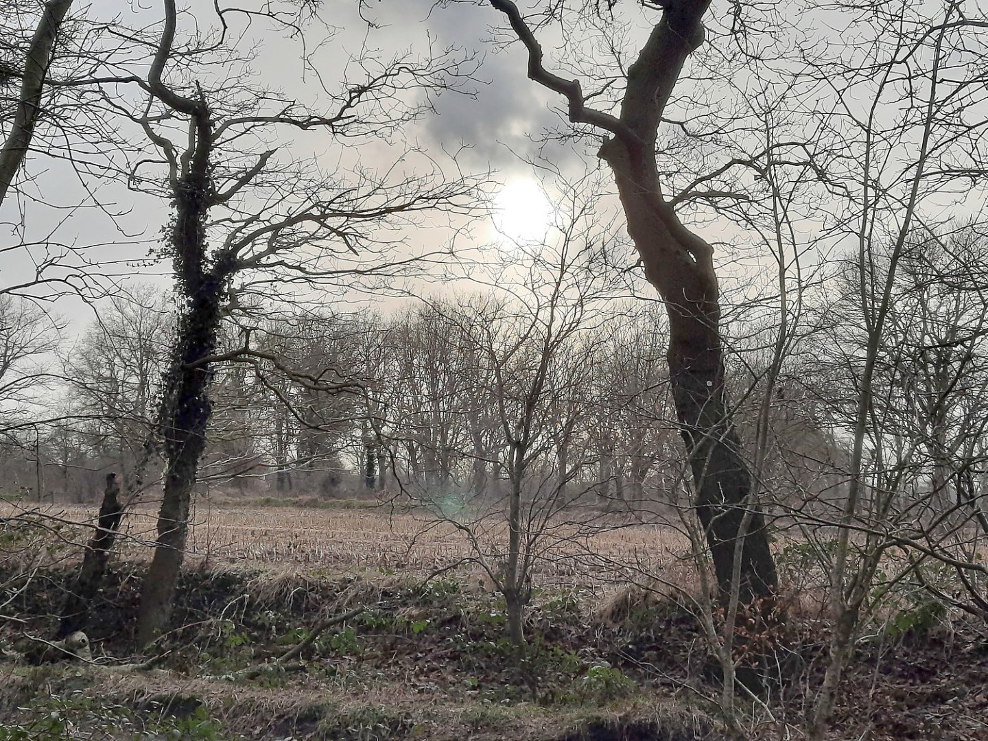 Die schönsten Landschaftsfotos aus Ostfriesland - Bild 121