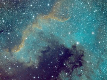 Die schönsten Landschaftsfotos aus Ostfriesland - Bild 124