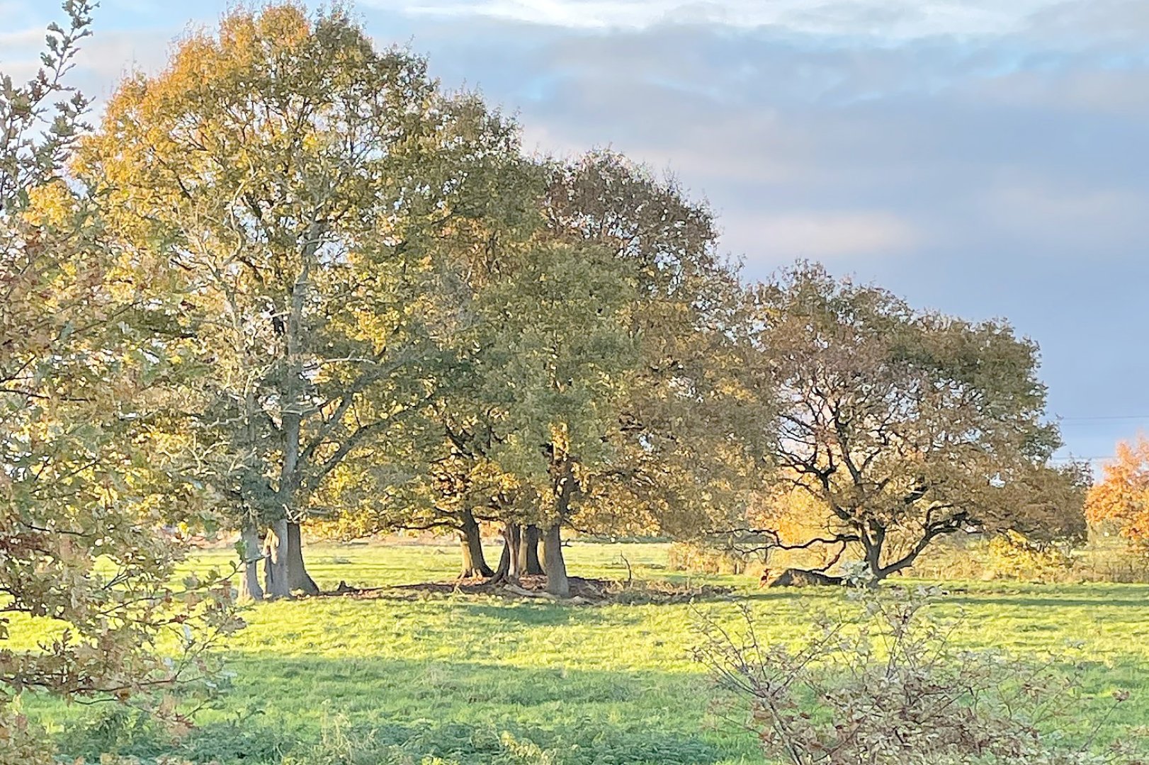 Die schönsten Landschaftsfotos aus Ostfriesland - Bild 126