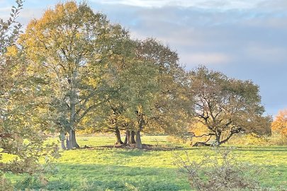 Die schönsten Landschaftsfotos aus Ostfriesland - Bild 126