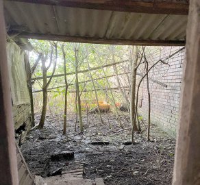 Die schönsten Landschaftsfotos aus Ostfriesland - Bild 127