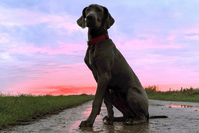 Die schönsten Tierfotos aus Ostfriesland - Bild 3