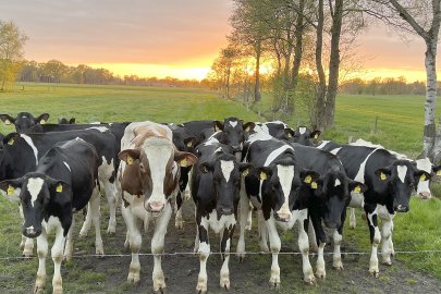 Die schönsten Tierfotos aus Ostfriesland - Bild 43