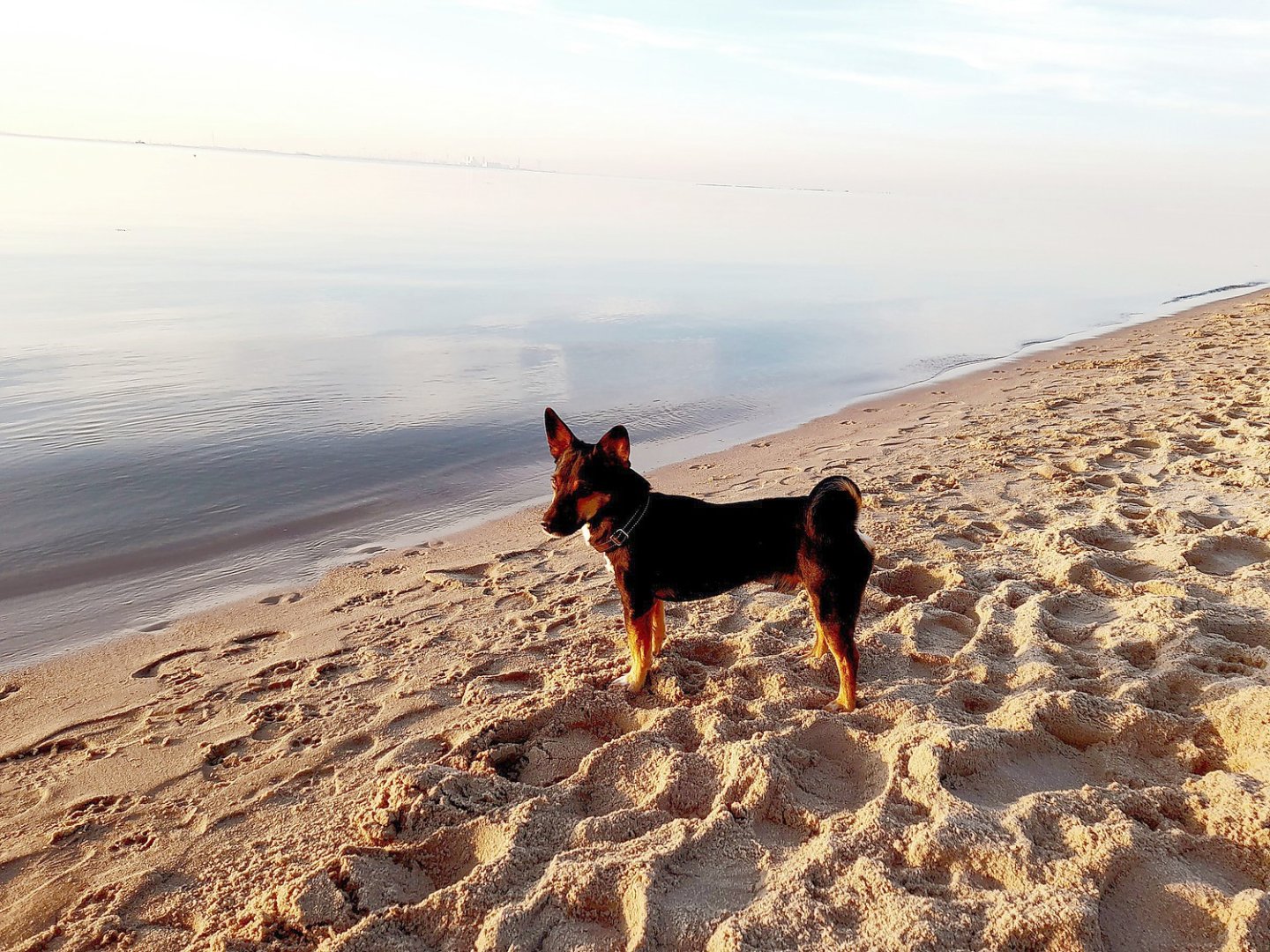 Die schönsten Tierfotos aus Ostfriesland - Bild 53